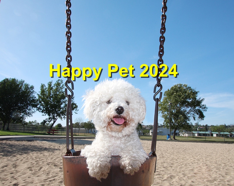 New Year, New Pet: Resolutions for a Healthy and Happy Dog