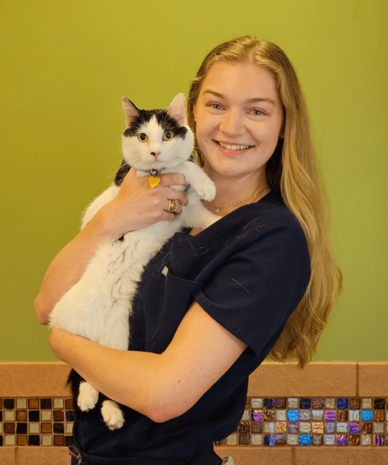 Dr. Samantha Fanning 
